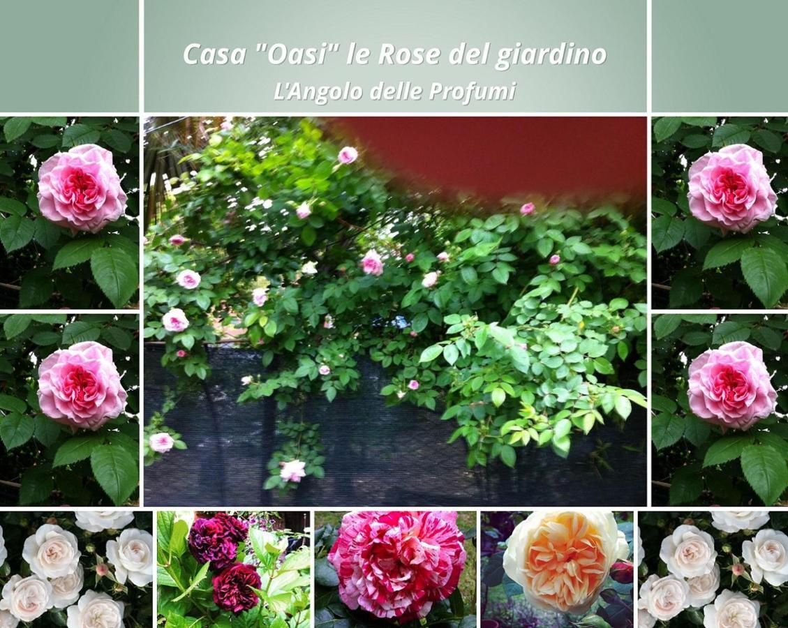 Apartamento Casa "Oasi" Centro Storico Tuscania Exterior foto
